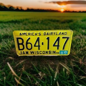 Wisconsin Vintage Yellow license plate. American DairyLand. 1981